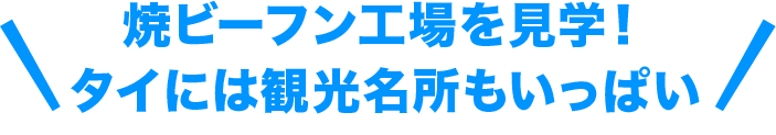 焼ビーフン工場見学を見学！タイには観光名所もいっぱい