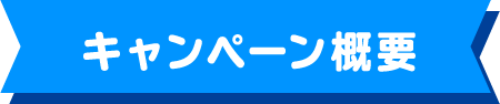 キャンペーン概要