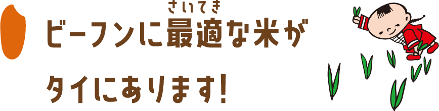 ビーフンに最適な米がタイにあります！